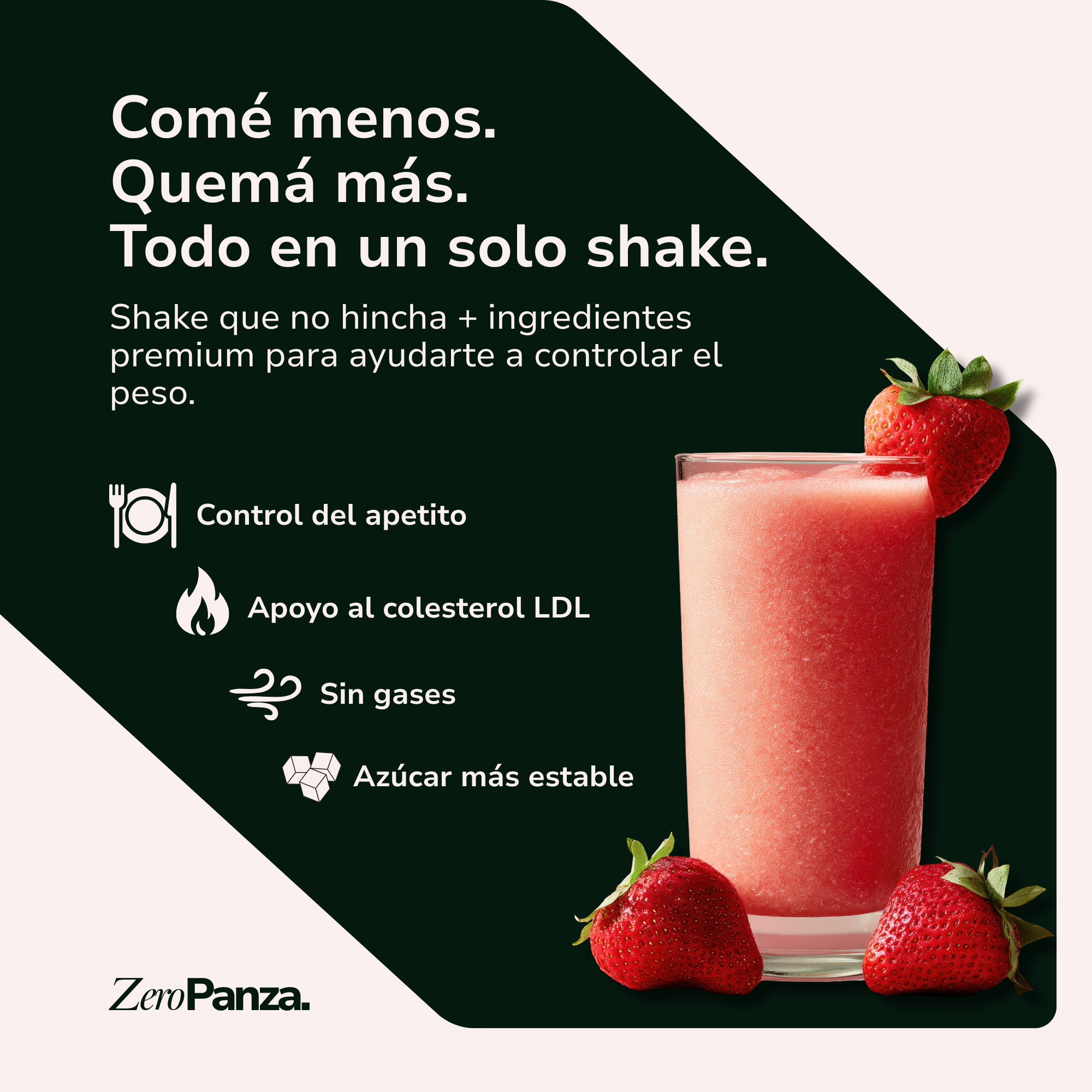 Zero Panza® El shake obliga a tu cuerpo a gastar colesterol y controlar el azúcar.